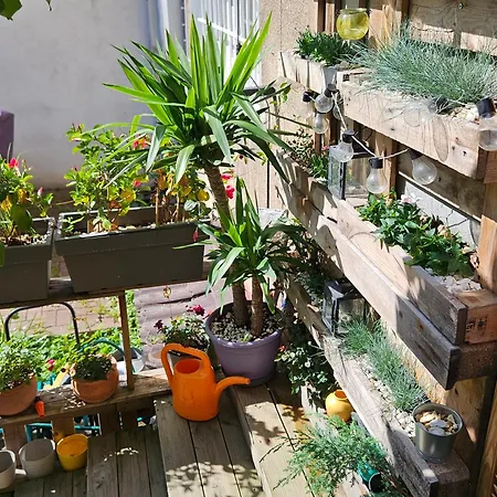Uniquechambre Appartement *